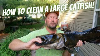 How to Clean a Large Catfish [upl. by Neelyt]