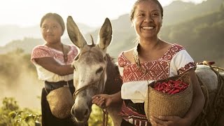 Lavazza Calendar 2016  From Father to Son  Red Chili Women ENG [upl. by Mada]