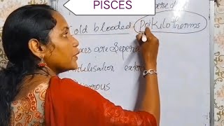 Superclass Pisces in chapter 2 Animal kingdom plus one zoologyplus1 education zoology [upl. by Ahsratan]