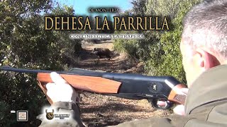 quotMONTERÍA EN LA DEHESA LA PARRILLA POR CINGETICA LA TRAPERA quot 6 De Nov 21 en Doña Rama Córdoba [upl. by Aititil139]