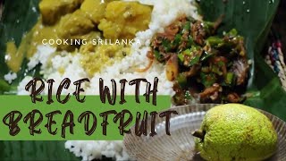 Sri lankan breakfast rice and curryBreadfruit curry traditional village cooking [upl. by Talya]