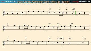 How to play the Sea Shanty Nathan Evans „Wellerman“ · Alto Saxophone [upl. by Alakim647]