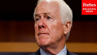 John Cornyn Warns Of Congressional Lobbyists Bought Out By Foreign Adversaries [upl. by Hartmunn59]