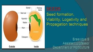 Seed formation Viability Longevity and Propagation techniques [upl. by Aekim]