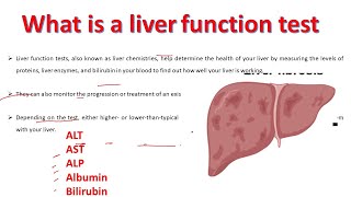 Liver Function test explained  ALT AST ALP Albumin Bilirubin Test  BiologyLectures [upl. by Ailil675]