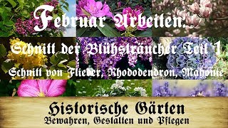 Arbeiten im Februar Blütensträucher TEIL 1 Flieder Rhododendron Mahonie schneiden [upl. by Tai]