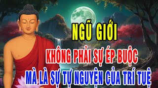 Ngũ Giới  Không Phải Sự Ép Buộc Mà Là Sự Tự Nguyện Của Trí Tuệ  “Pháp Bồ Đề” [upl. by Atlanta]