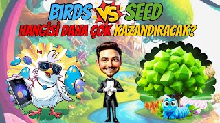 Birds ve SEED TÜRKİYE GUİLDİMİZİ KURDUK SÜPRİZ ÖDÜLLER [upl. by Stillas866]