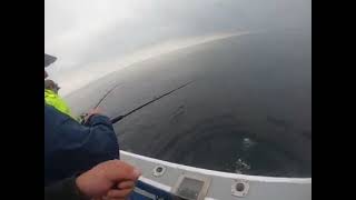 Little taste of Spring Haddock fishing off of New England APRIL 2021 [upl. by Centonze]