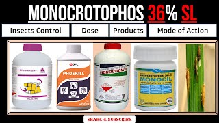 Monocrotophos 36 SL  Monocrotophos Insecticide  Uses  Dose  For which Insects  Mode of Action [upl. by Ngo]