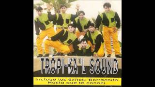 TropiKal Sound  Toda la Noche [upl. by Aym287]