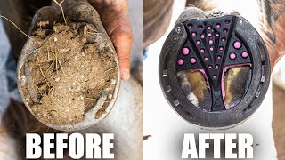 Satisfying Full Horse Hoof Restoration  4K FARRIER ASMR [upl. by Soni]