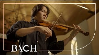 Bach  Violin Partita no 2 in D minor BWV 1004  Sato  Netherlands Bach Society [upl. by Nirtak]