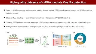 iMeta  Deep learning enhancing guide RNA design for CRISPRCas12abased diagnostics [upl. by Aisyla]