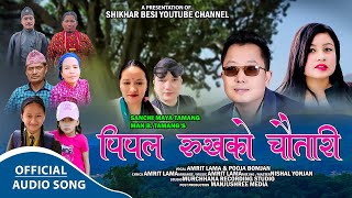 Pipal Rukhako Chautari  Amrit Lama amp Pooja Bomjan  New Tamang Selo Song 2024 [upl. by Morry]