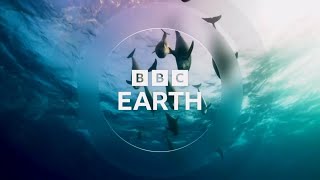 BBC Earth  Schimbare siglă  14092023 [upl. by Erena]