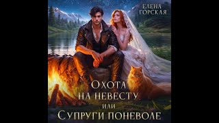 Аудиокнига Любовное Фэнтези 686 [upl. by Etep]