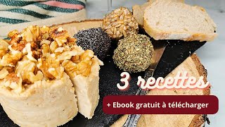 3 recettes maison pour faire son fromage vegan  Ebook vegan cheese [upl. by Nam893]