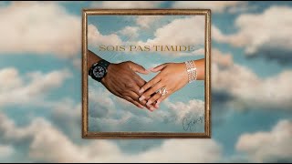 GIMS  Sois pas timide Official Lyrics Video [upl. by Channa101]