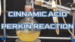 CINNAMIC ACID PERKIN REACTIONncchem [upl. by Aidualc]