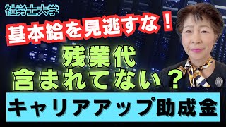 【社労士大学】見逃しがちな基本給！キャリアアップ助成金の注意点とは [upl. by Safko225]