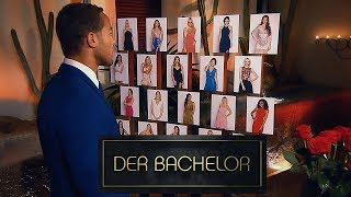 Bachelor 2019 Die 20 Kandidatinnen treffen Andrej  Folge 1 [upl. by Rihsab624]