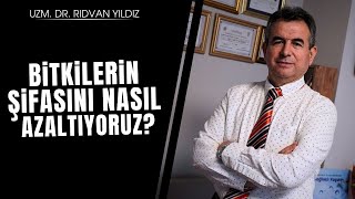 Bitkilerin şifasını nasıl yok ediyoruz Dr Rıdvan Yıldız [upl. by Frederique193]