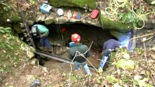 Cave Gates Help Protect Endangered Bats in Missouri [upl. by Almap]