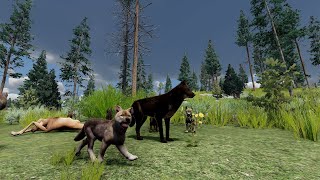 WolfQuest AE The Cosmos Pack 32  Litter Showcase Vote [upl. by Ferne]