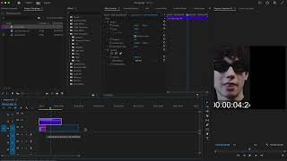 VIDEOBEARBEITUNG FÜR ANFÄNGER  Benutzung der Übergänge von Premiere Pro  Premiere Pro [upl. by Ardnekan]