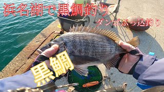 浜名湖内でクロダイ狙いのダンゴぶっ込み釣り [upl. by Carmencita150]