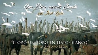 José León  quotLloró un Toro en HatoBlancoquot Que Dios reparta Suerte  Sevillanas  Flamenco [upl. by Maura]