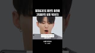 세븐틴 HOMERUN 절대음감으로 세븐틴 홈런에 고잉세븐틴 비명 섞어보기 [upl. by Ferrel]