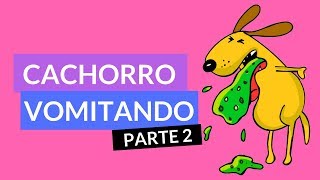 Cachorro Vomitando  PARTE 2  Causas Remédios e Como Tratar [upl. by Trellas496]