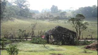 Finca Neblina del Bosque  Miraflor Estelí Nicaragua [upl. by Nappie]