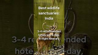 Top 4 Wildlife Sanctuaries in India to Visit [upl. by Cired]