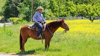 Teaching Your Horse to Trail Ride [upl. by Aihppa226]