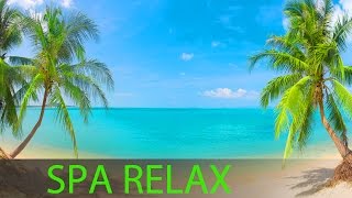 8 Hour Super Relaxing Spa Music Massage Music Background Music Relaxing Music ☯391 [upl. by Leuqim]