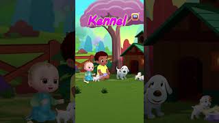 Animal Homes Song  Part 2  Shorts ChuChuTV NurseryRhymes KidsSongs Learningsongs [upl. by Eihpos927]