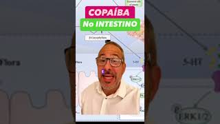 Óleo essencial de copaíba [upl. by Par479]