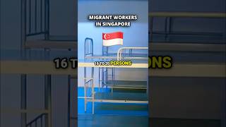 Living Conditions in Singapore Dorms [upl. by Ahseel]