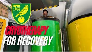 Cryotherapy for Recovery [upl. by Danni]