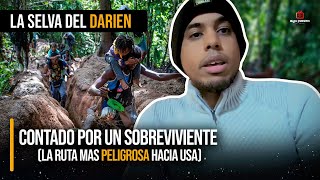 SOBREVIVIENTE CUENTA TODO SOBRE LA SELVA DE DARIEN  LA RUTA MAS PELIGR0S4 HACIA ESTADOS UNIDOS [upl. by Ettezoj]