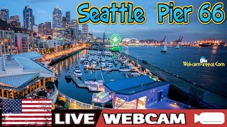 🔴🅻🅸🆅🅴🔴⚓Seattle Pier 66 🚢 Alaskan Way ➡ Washington 📸 Elliot Bay [upl. by Rush569]