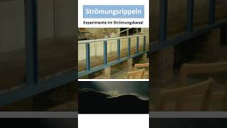 Strömungsrippeln Entstehung Bedeutung [upl. by Panter]