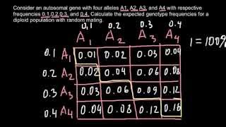 How to calculate frequencies of multiply alleles in a gene pool [upl. by Giliane]