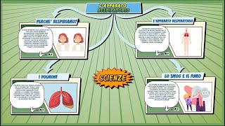 Lapparato respiratorio  Scienze  ComicsampScience  Schooltoon  Elementari e Medie [upl. by Noval947]