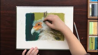 Making of Holbein Artists’ Oil Pastel オイルパステル오일 파스텔【ホルベイン公式】 [upl. by Suzanne1]