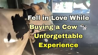 Fell in Love While Buying a Cow 🐄 Unforgettable Experience [upl. by Adnolohs]