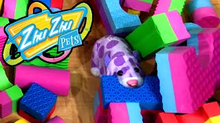 Zhu Zhu Pets Smashing Everything for 5Minutes Straight [upl. by Skilken]